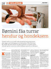 Síða 28