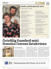 Síða 29