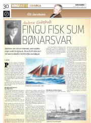 Síða 30