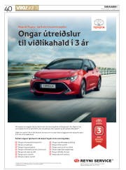 Síða 40