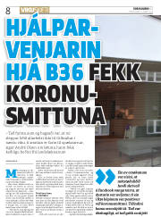 Síða 8