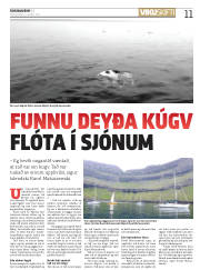 Síða 11
