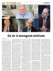 Síða 20