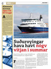 Síða 6