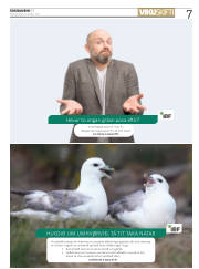 Síða 7