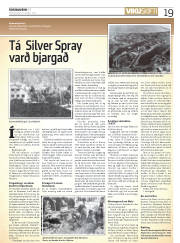 Síða 19