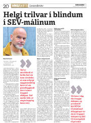 Síða 20
