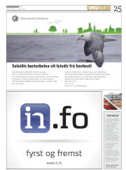 Síða 25