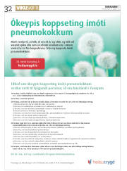 Síða 32
