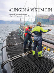 Síða 38
