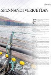 Síða 39