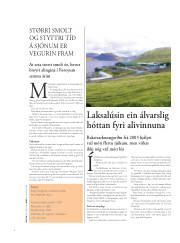 Síða 40