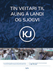 Síða 45