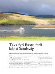 Síða 46