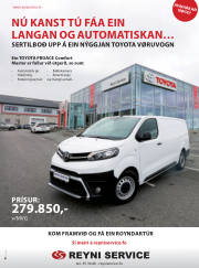 Síða 51