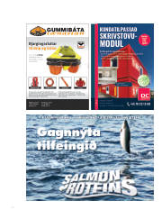 Síða 58