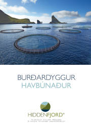 Síða 63