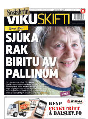 Síða 1