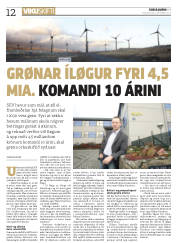 Síða 12