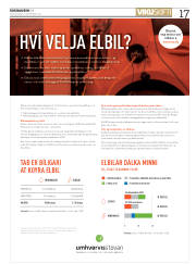 Síða 17