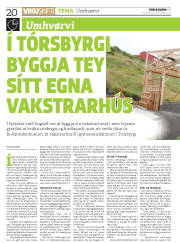 Síða 20