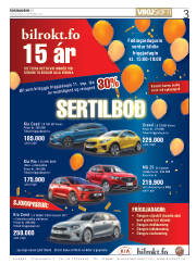 Síða 3