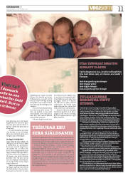 Síða 11