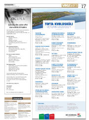 Síða 17