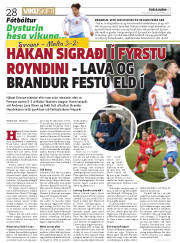 Síða 20