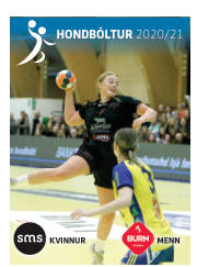 Síða 25
