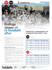 Síða 26