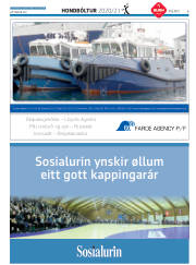Síða 29