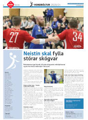 Síða 30