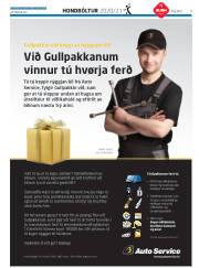 Síða 31