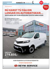 Síða 35