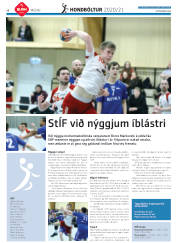 Síða 38