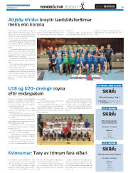 Síða 43