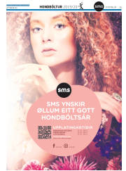 Síða 55