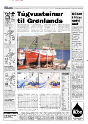 Síða 13