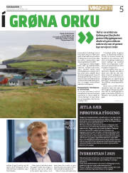 Síða 5