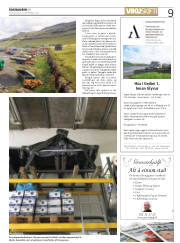 Síða 9