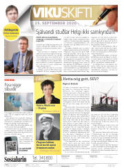 Síða 2