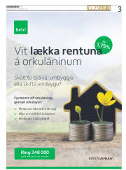 Síða 3