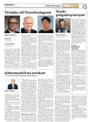 Síða 15