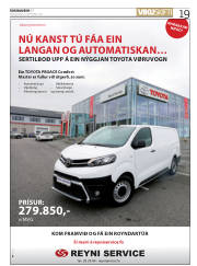 Síða 19