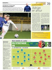 Síða 29