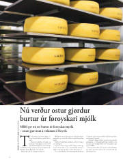Síða 52
