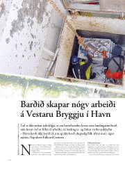 Síða 56