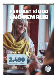 Síða 11