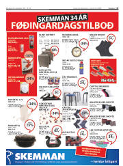 Síða 13
